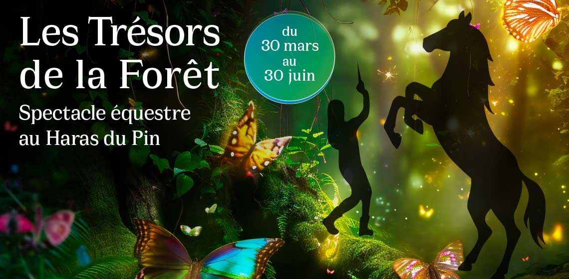 Les Trésors de la Forêt