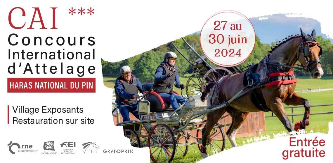 Concours d'Attelage International