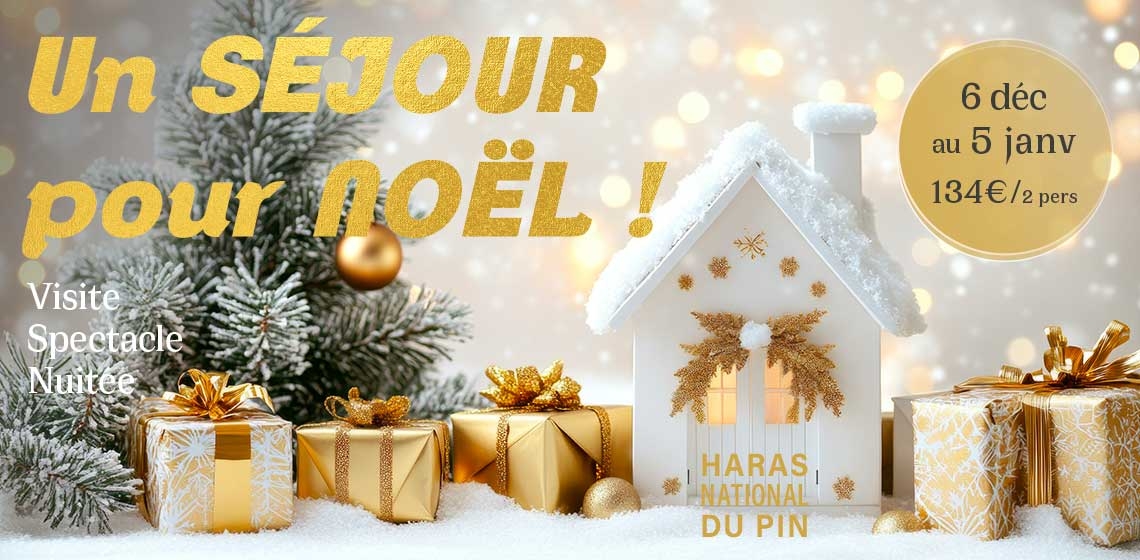 UN SEJOUR POUR NOEL