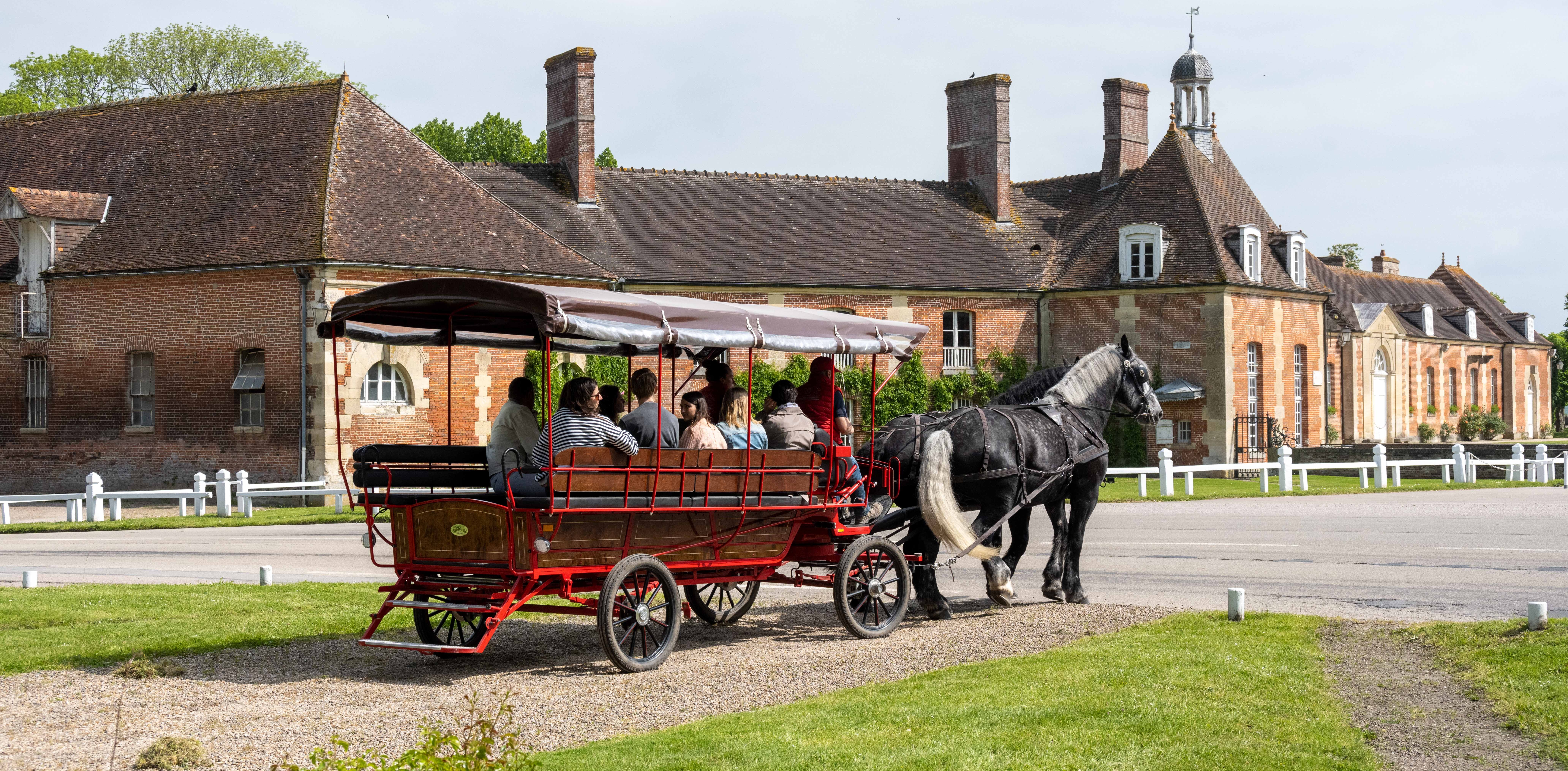 PROMENADE EN ATTELAGE