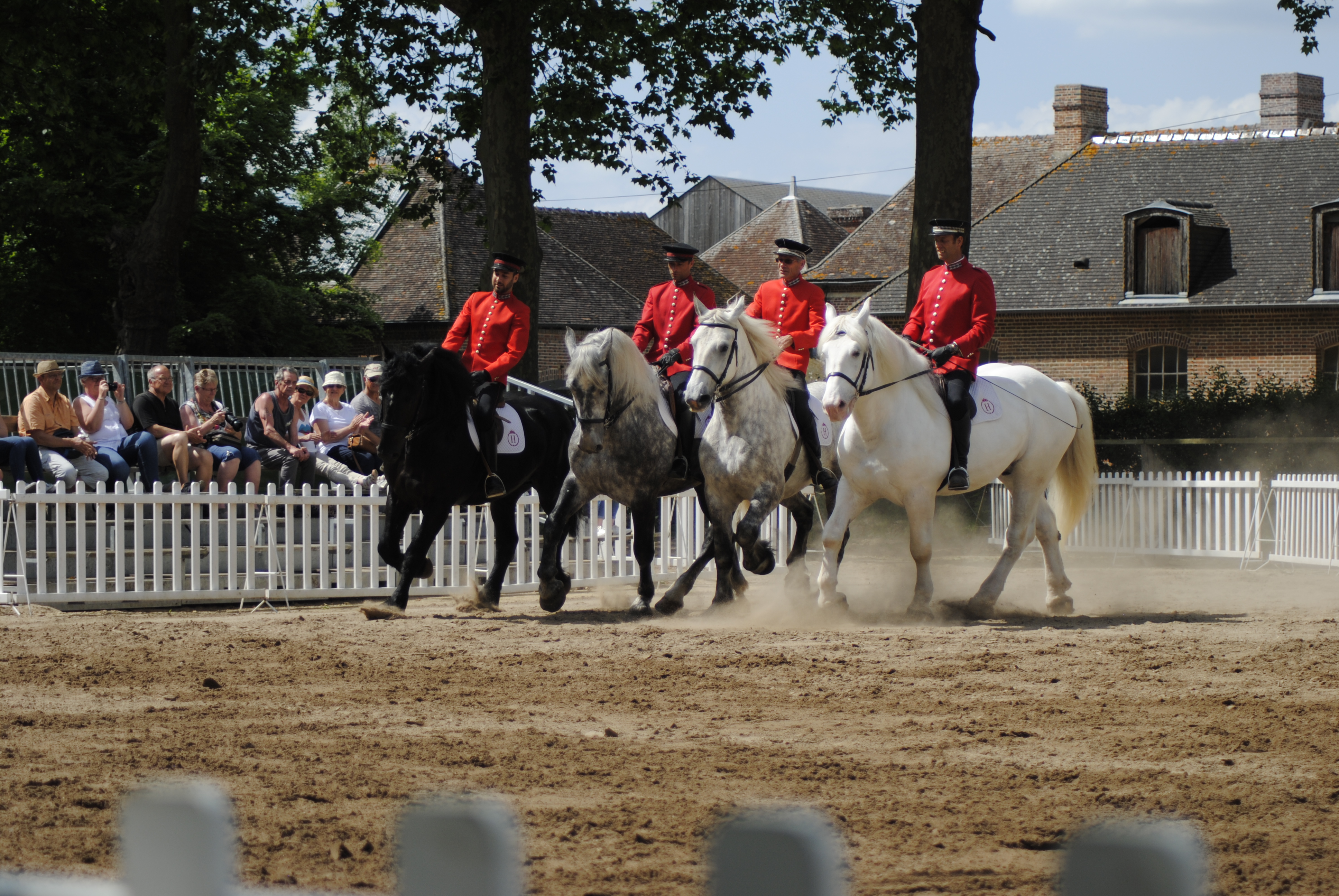 jeudis du Pin, agents, chevaux, races, spectacle, divertissement, tout public