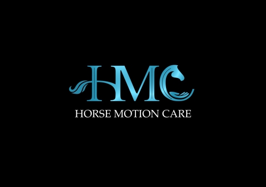 https://www.instagram.com/horse.motioncare/